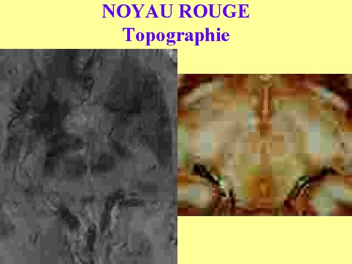 NOYAU ROUGE Topographie 