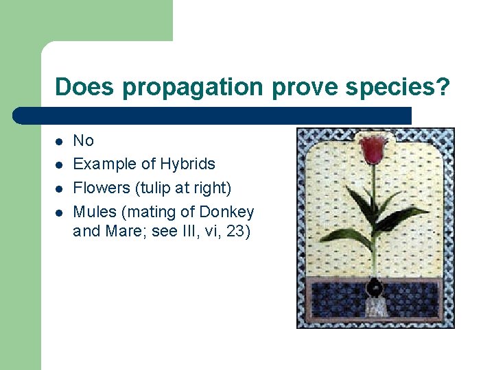 Does propagation prove species? l l No Example of Hybrids Flowers (tulip at right)