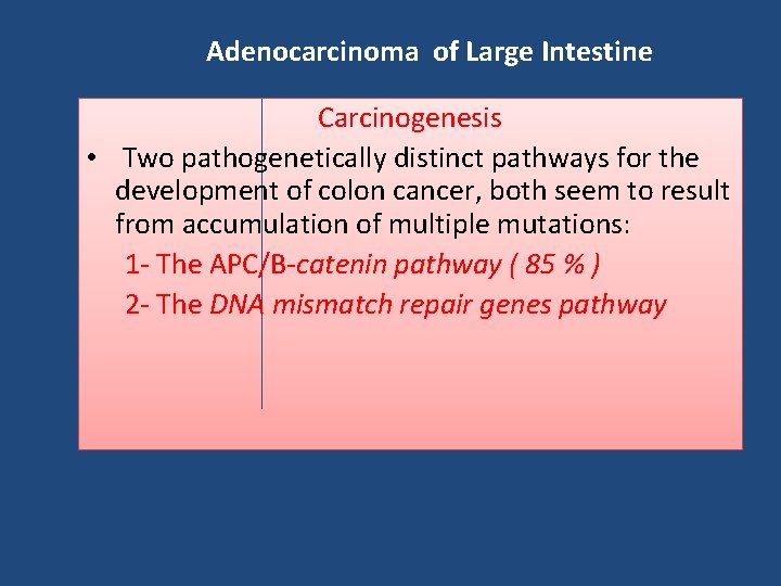 Adenocarcinoma of Large Intestine Carcinogenesis • Two pathogenetically distinct pathways for the development of