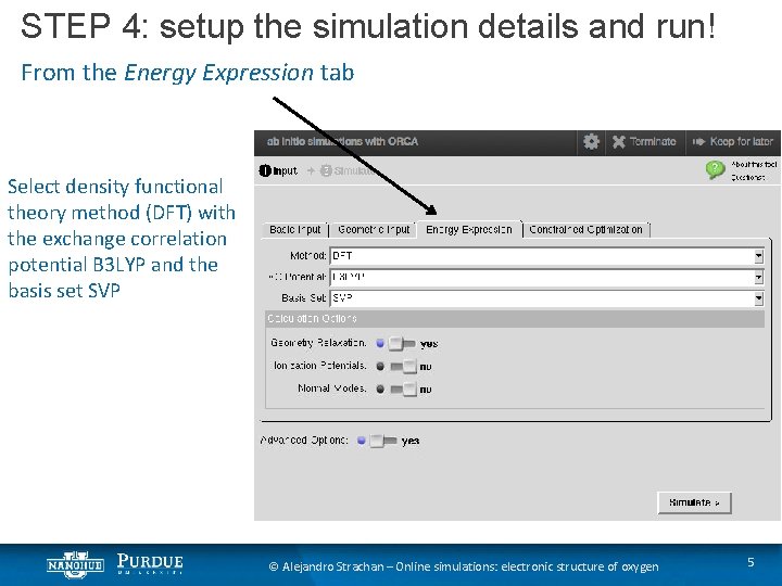 STEP 4: setup the simulation details and run! From the Energy Expression tab Select