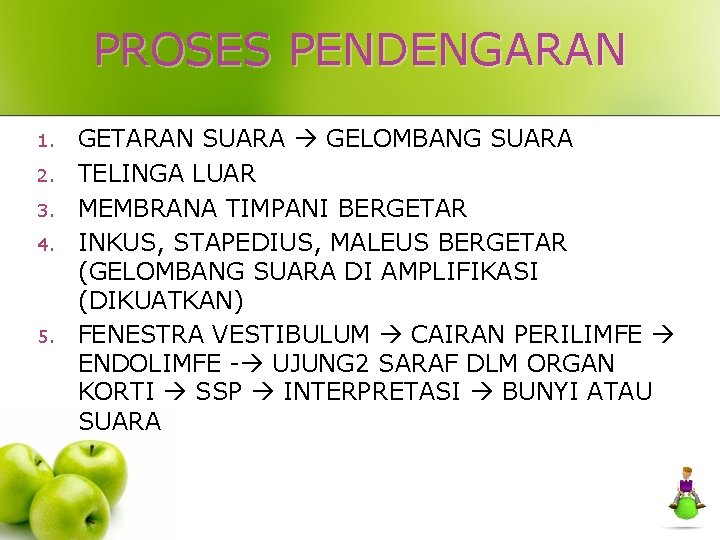 PROSES PENDENGARAN 1. 2. 3. 4. 5. GETARAN SUARA GELOMBANG SUARA TELINGA LUAR MEMBRANA