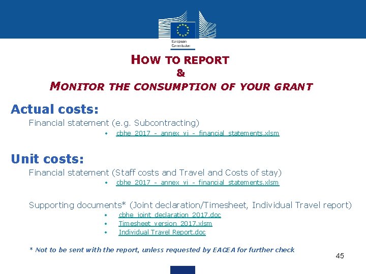 HOW TO REPORT & MONITOR THE CONSUMPTION OF YOUR GRANT Actual costs: Financial statement