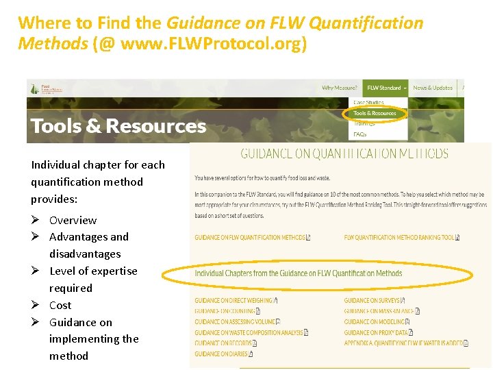 Where to Find the Guidance on FLW Quantification Methods (@ www. FLWProtocol. org) From
