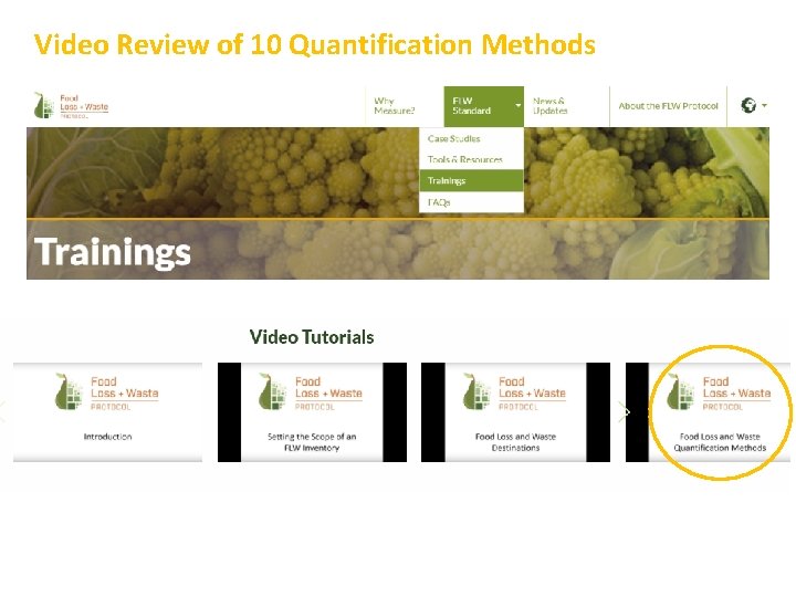 Video Review of 10 Quantification Methods 