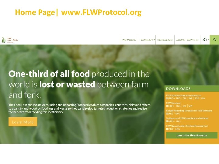 Home Page| www. FLWProtocol. org 