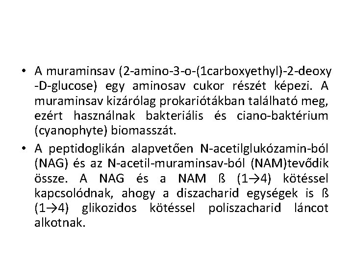  • A muraminsav (2 -amino-3 -o-(1 carboxyethyl)-2 -deoxy -D-glucose) egy aminosav cukor részét
