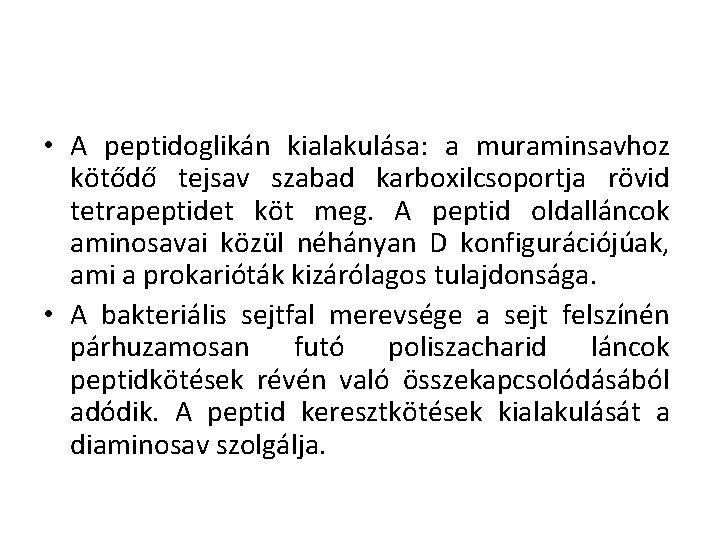  • A peptidoglikán kialakulása: a muraminsavhoz kötődő tejsav szabad karboxilcsoportja rövid tetrapeptidet köt