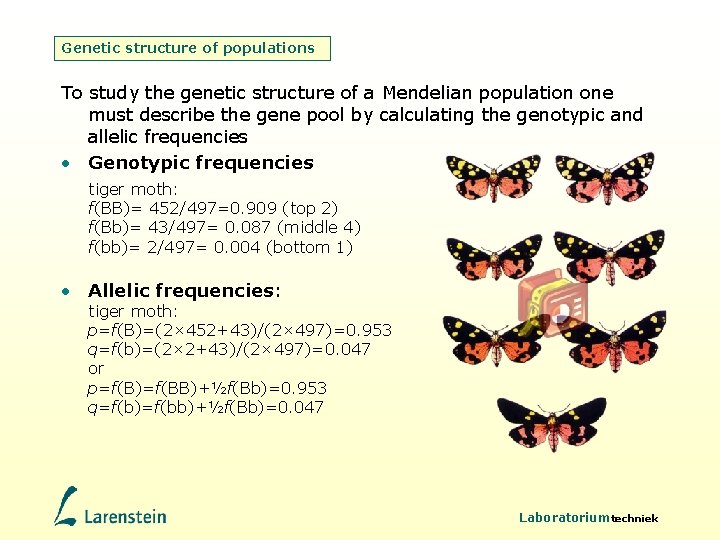 Genetic structure of populations To study the genetic structure of a Mendelian population one