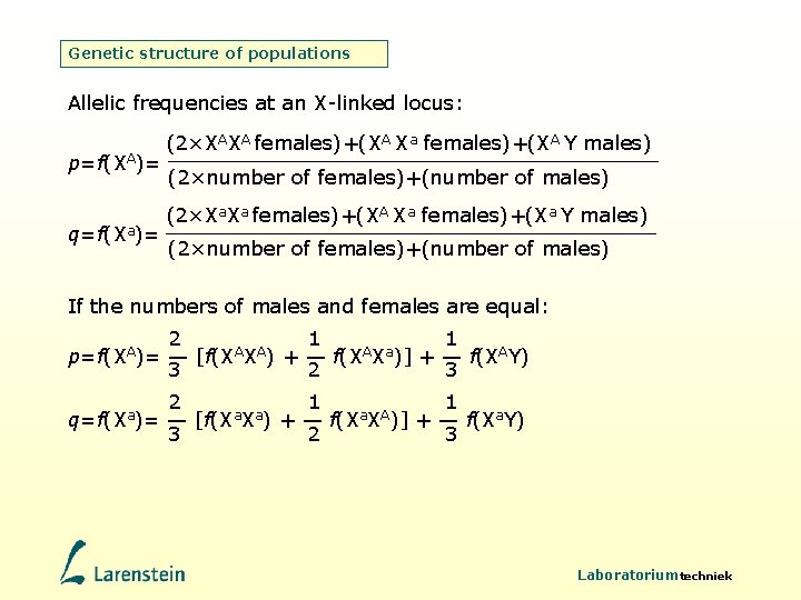 Genetic structure of populations Allelic frequencies at an X-linked locus: (2×XAXA females)+(XA Xa females)+(XA