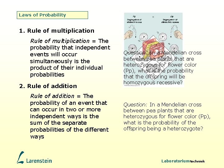 Laws of Probability 1. Rule of multiplication = The probability that independent events will