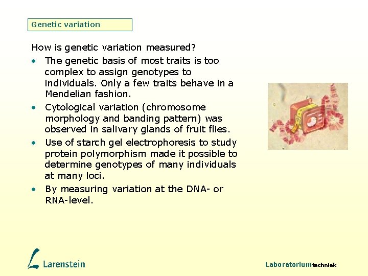 Genetic variation How is genetic variation measured? • The genetic basis of most traits