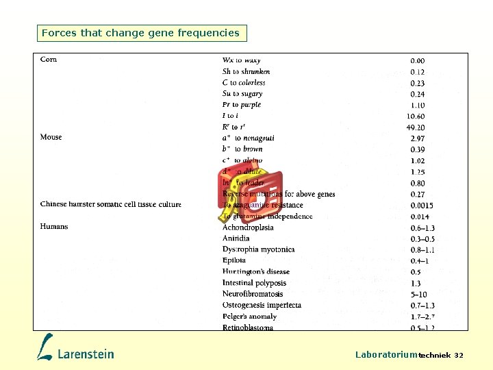 Forces that change gene frequencies Random genetic drift Laboratoriumtechniek 32 