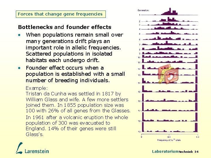 Forces that change gene frequencies Bottlenecks and founder effects • When populations remain small