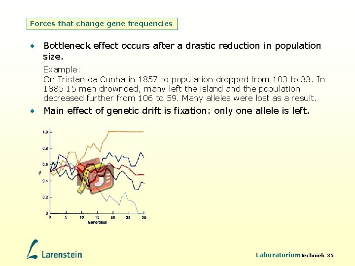 Forces that change gene frequencies • Bottleneck effect occurs after a drastic reduction in