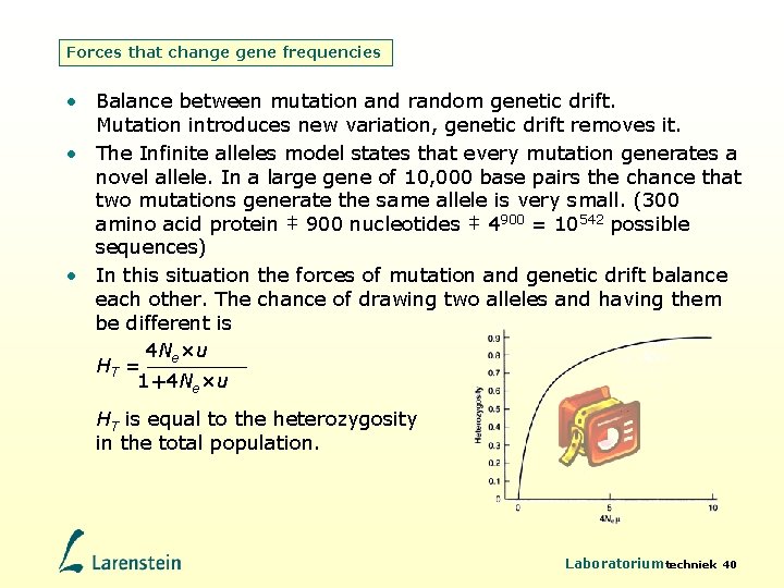 Forces that change gene frequencies • Balance between mutation and random genetic drift. Mutation
