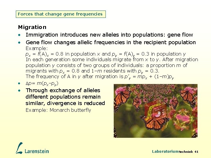 Forces that change gene frequencies Migration • Immigration introduces new alleles into populations: gene