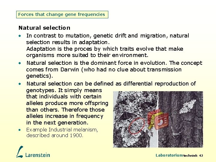 Forces that change gene frequencies Natural selection • In contrast to mutation, genetic drift