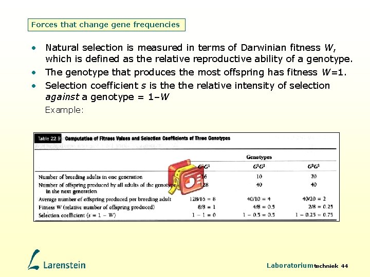 Forces that change gene frequencies • Natural selection is measured in terms of Darwinian