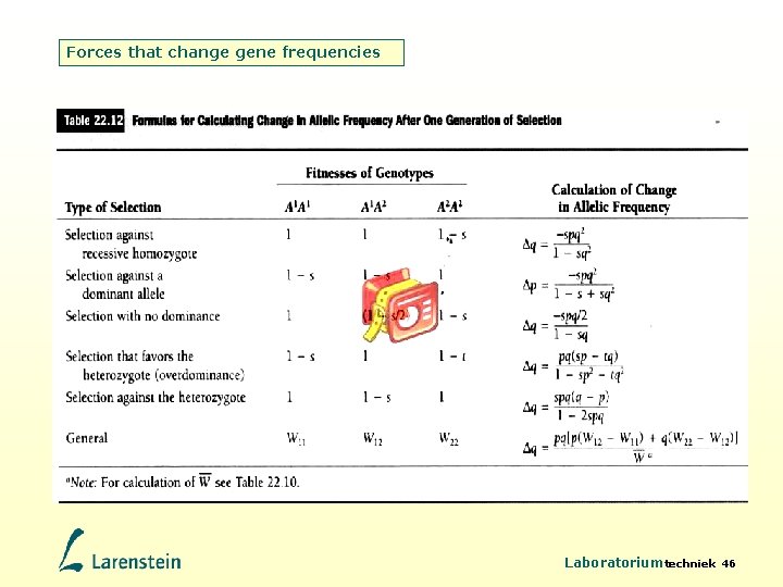 Forces that change gene frequencies Laboratoriumtechniek 46 