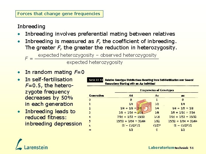 Forces that change gene frequencies Inbreeding • Inbreeding involves preferential mating between relatives •