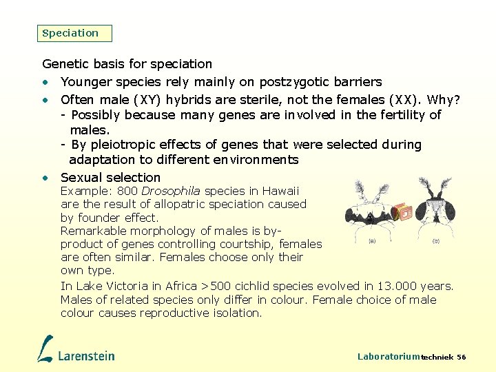 Speciation Genetic basis for speciation • Younger species rely mainly on postzygotic barriers •