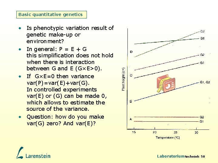 Basic quantitative genetics • Is phenotypic variation result of genetic make-up or environment? •