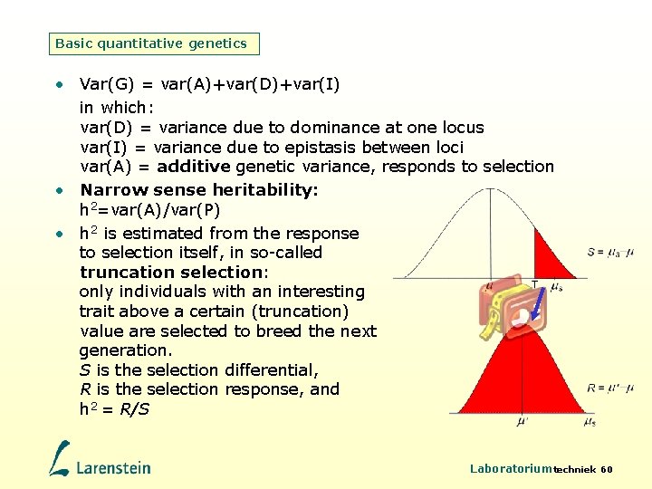 Basic quantitative genetics • Var(G) = var(A)+var(D)+var(I) in which: var(D) = variance due to