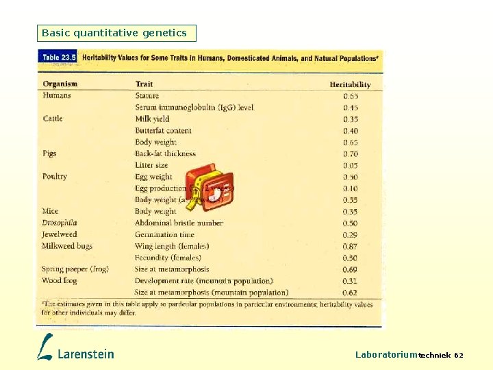 Basic quantitative genetics Laboratoriumtechniek 62 