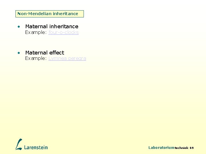 Non-Mendelian inheritance • Maternal inheritance Example: four-o-clocks • Maternal effect Example: Lymnea peregra Laboratoriumtechniek