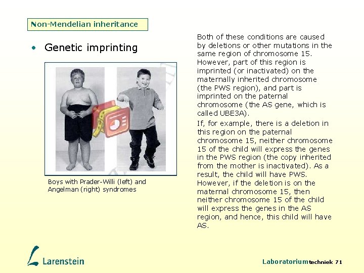 Non-Mendelian inheritance • Genetic imprinting Boys with Prader-Willi (left) and Angelman (right) syndromes Both