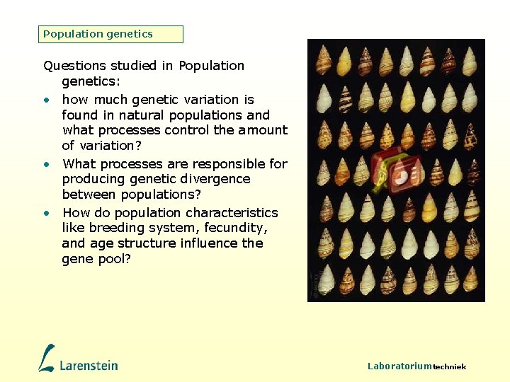 Population genetics Questions studied in Population genetics: • how much genetic variation is found