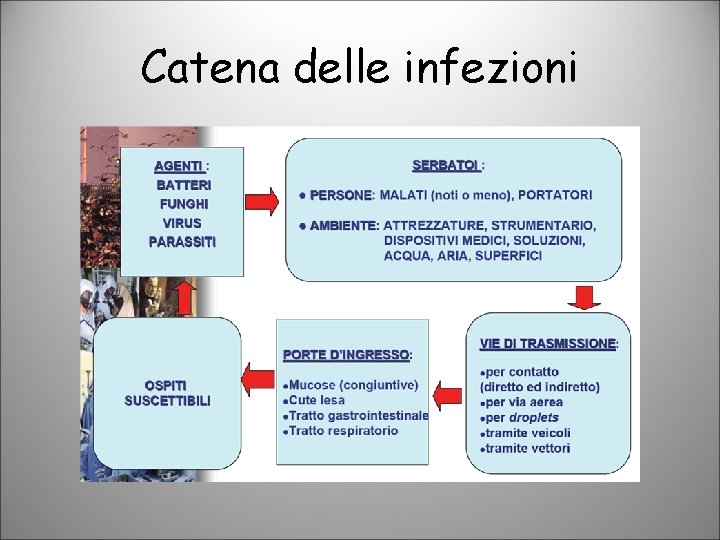 Catena delle infezioni 