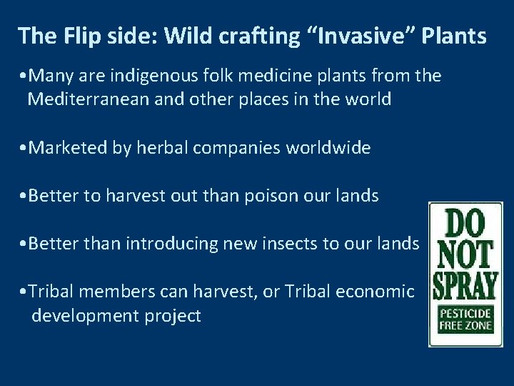 The Flip side: Wild crafting “Invasive” Plants • Many are indigenous folk medicine plants