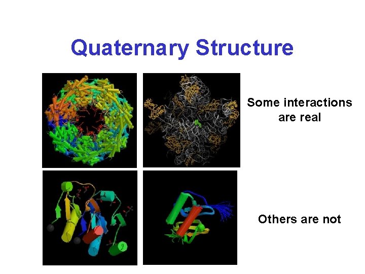 Quaternary Structure Some interactions are real Others are not 