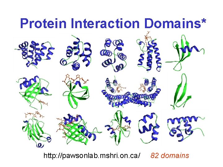 Protein Interaction Domains* http: //pawsonlab. mshri. on. ca/ 82 domains 