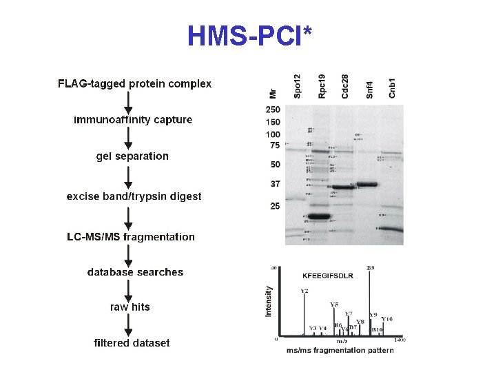 HMS-PCI* 