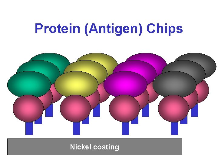 Protein (Antigen) Chips Nickel coating 