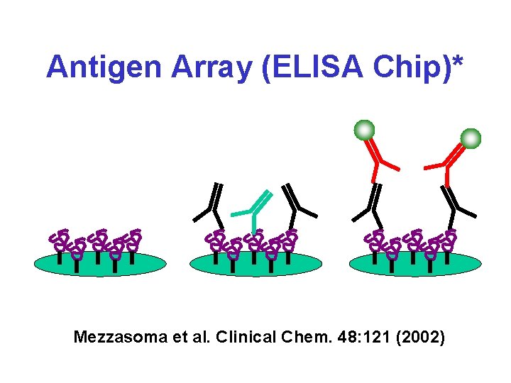 Antigen Array (ELISA Chip)* Mezzasoma et al. Clinical Chem. 48: 121 (2002) 