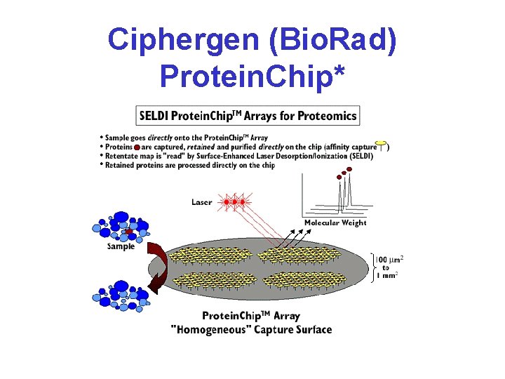 Ciphergen (Bio. Rad) Protein. Chip* 