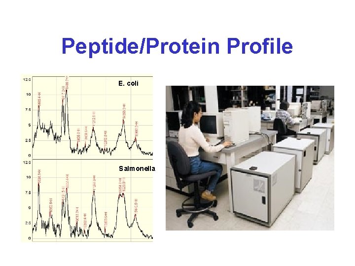 Peptide/Protein Profile E. coli Salmonella 