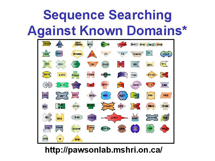 Sequence Searching Against Known Domains* http: //pawsonlab. mshri. on. ca/ 