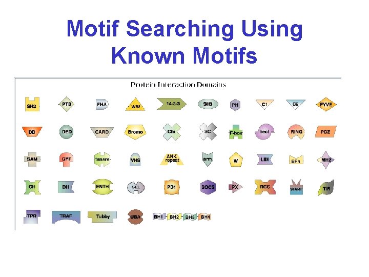 Motif Searching Using Known Motifs 