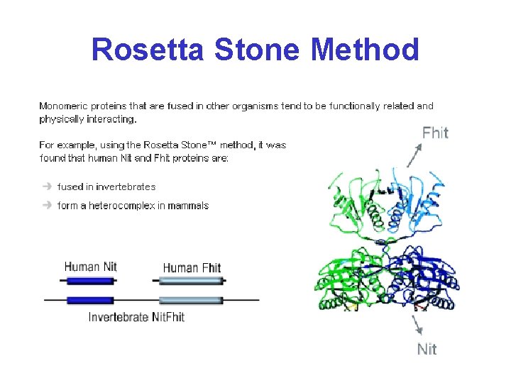 Rosetta Stone Method 