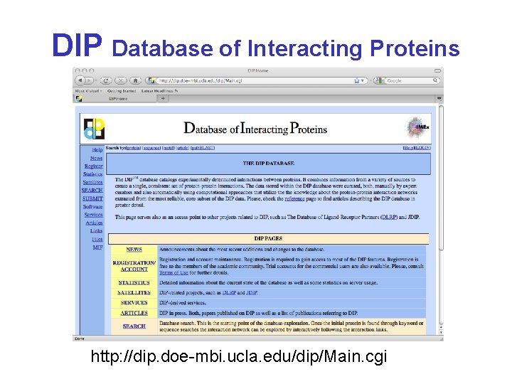 DIP Database of Interacting Proteins http: //dip. doe-mbi. ucla. edu/dip/Main. cgi 