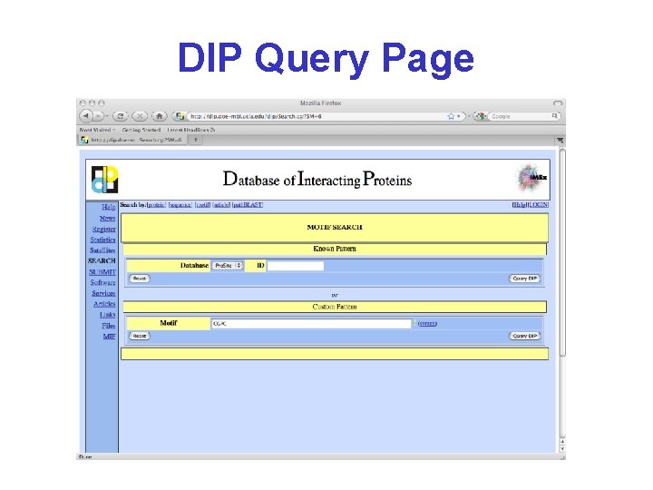 DIP Query Page CGPC 