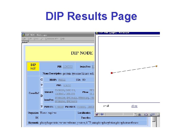 DIP Results Page 
