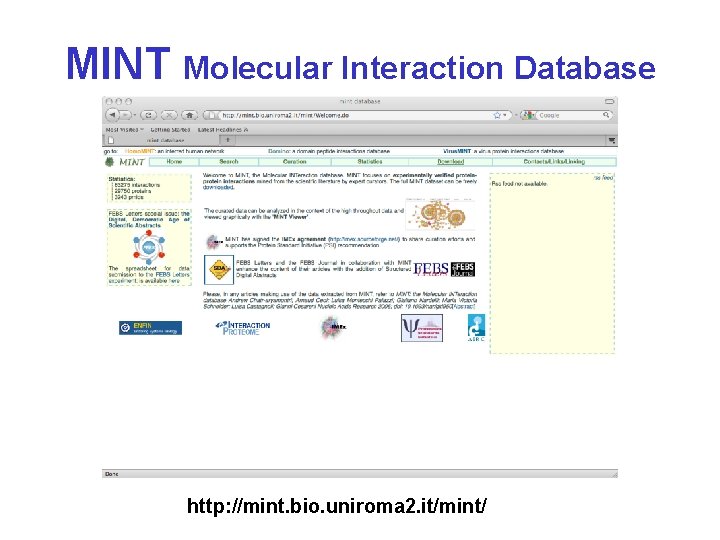 MINT Molecular Interaction Database http: //mint. bio. uniroma 2. it/mint/ 