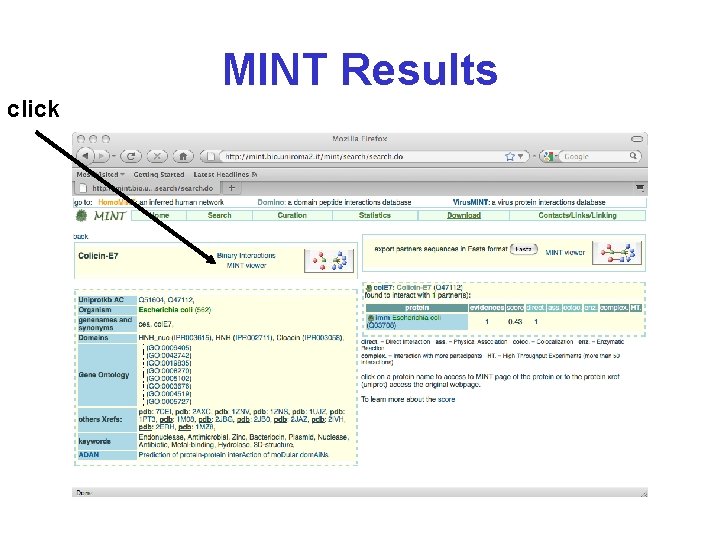 MINT Results click 