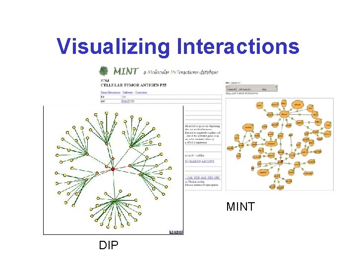 Visualizing Interactions MINT DIP 