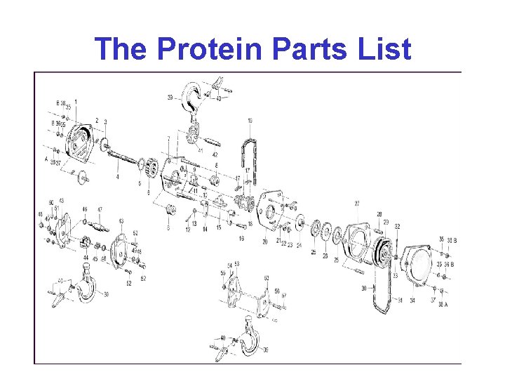 The Protein Parts List 